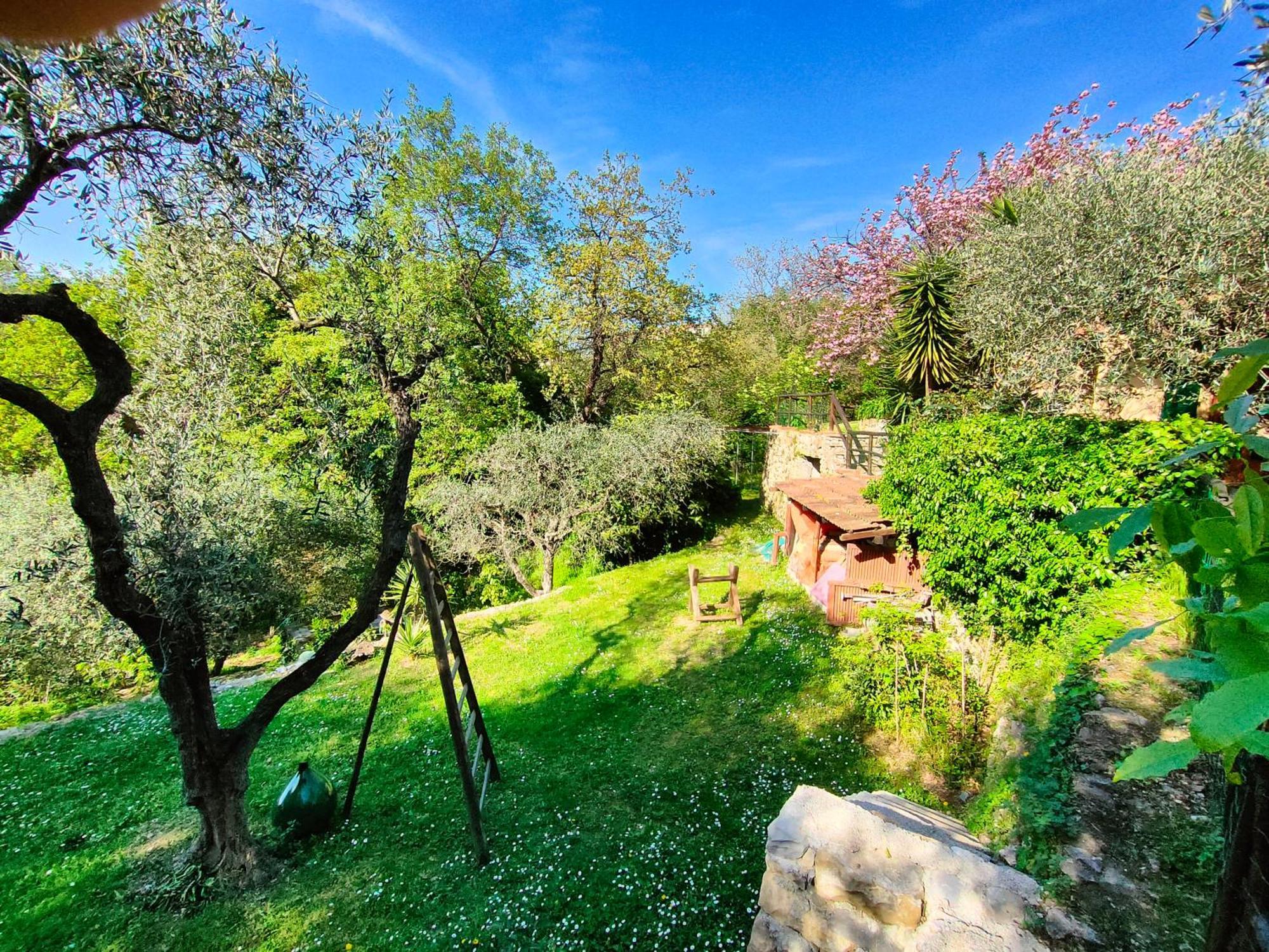 L'Uliveto D'Argento Bed & Breakfast Finale Ligure Bagian luar foto