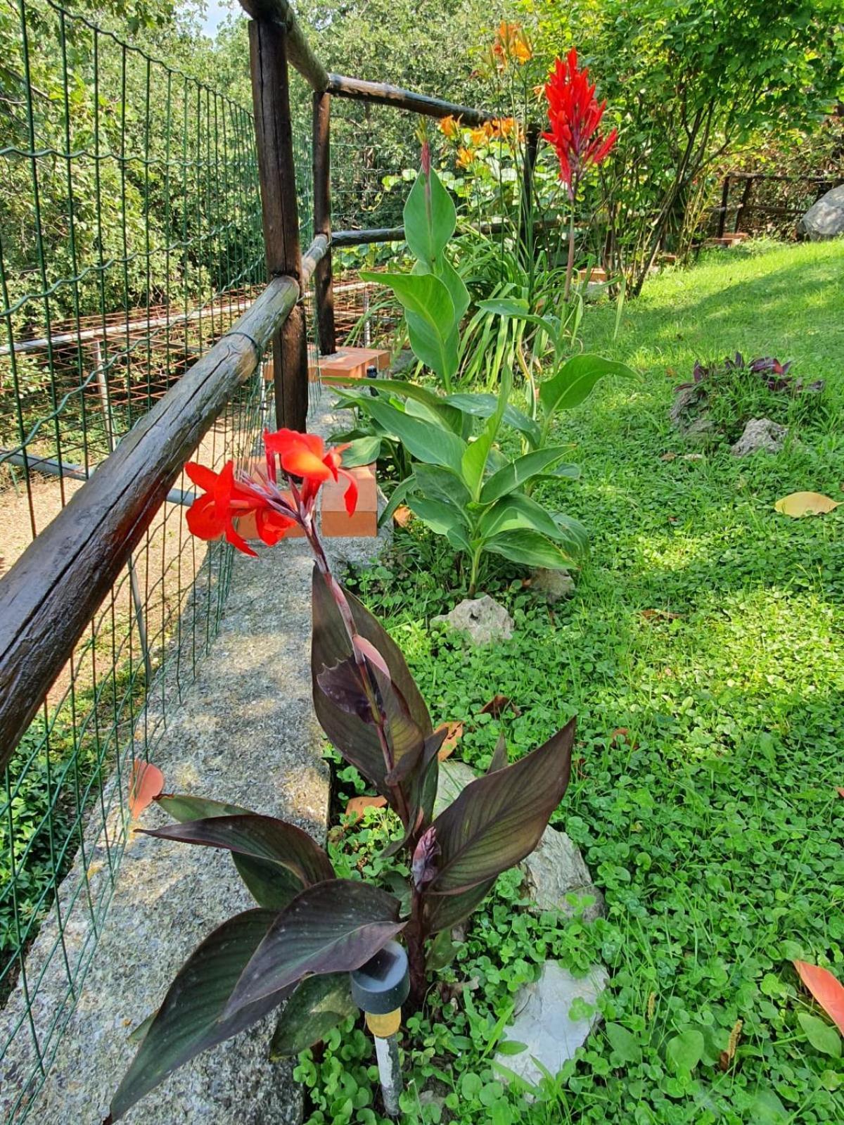 L'Uliveto D'Argento Bed & Breakfast Finale Ligure Bagian luar foto
