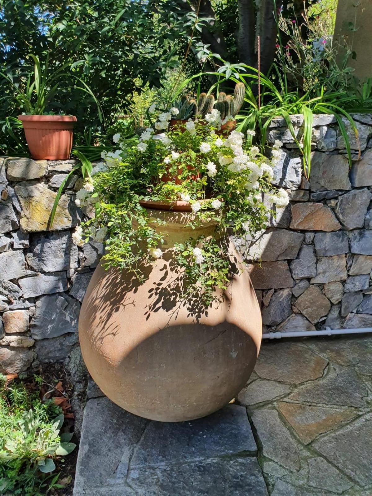L'Uliveto D'Argento Bed & Breakfast Finale Ligure Bagian luar foto