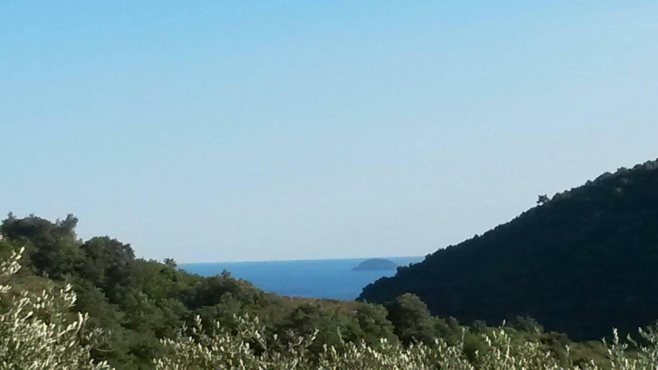 L'Uliveto D'Argento Bed & Breakfast Finale Ligure Bagian luar foto